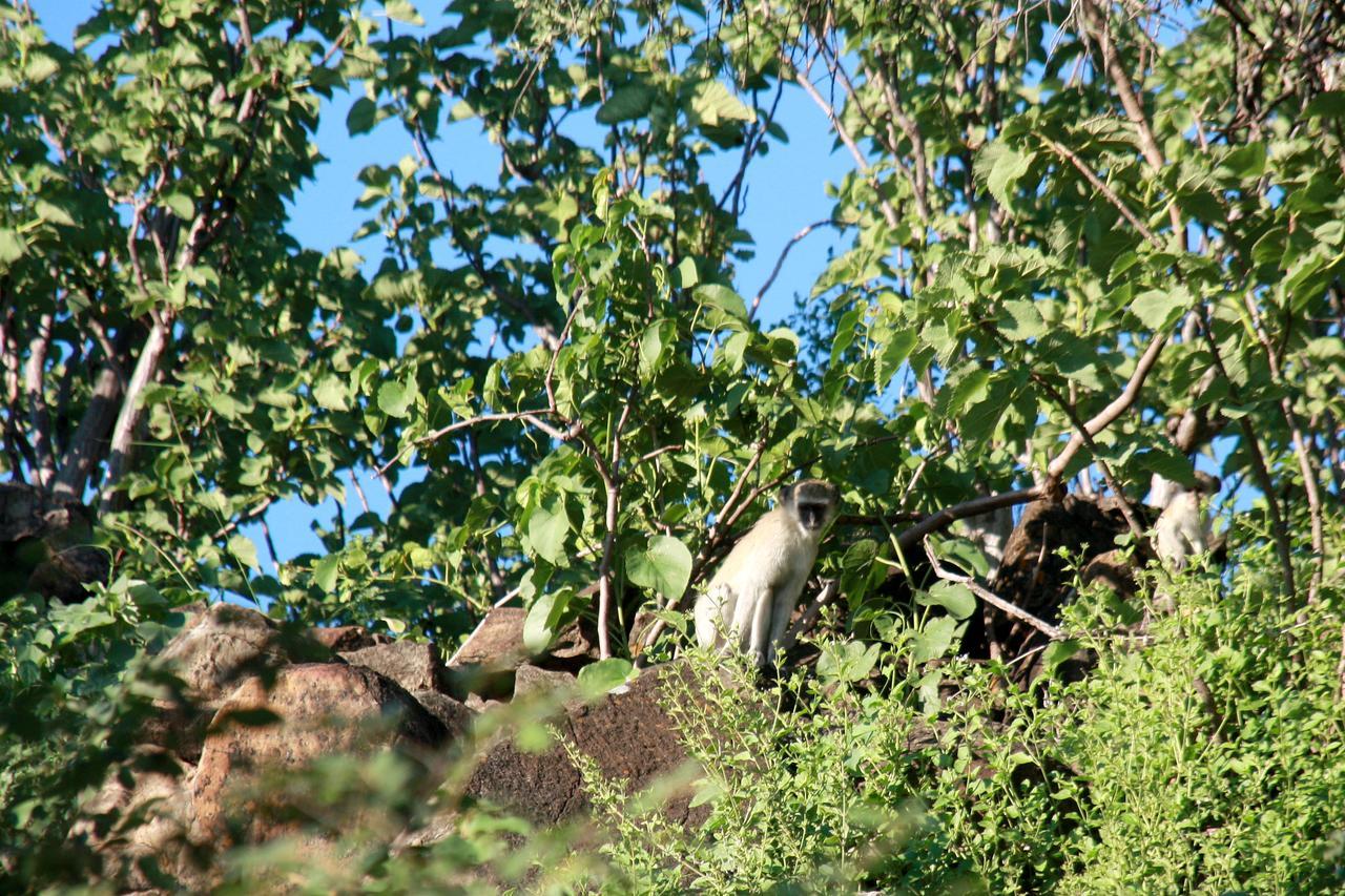 Ghaub Nature Reserve & Farm - One Namibia Grootfontein Ngoại thất bức ảnh